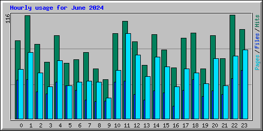 Hourly usage for June 2024